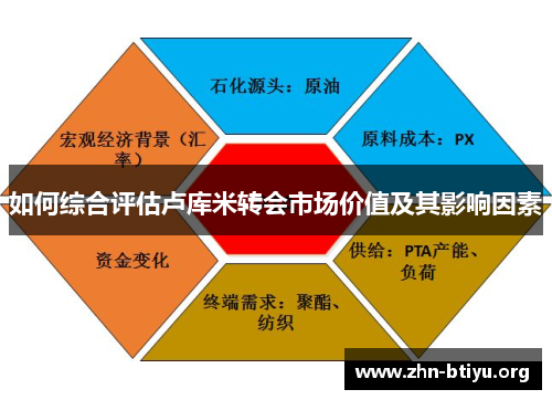 如何综合评估卢库米转会市场价值及其影响因素 如何综合评估卢库米转会市场价值及其影响因素