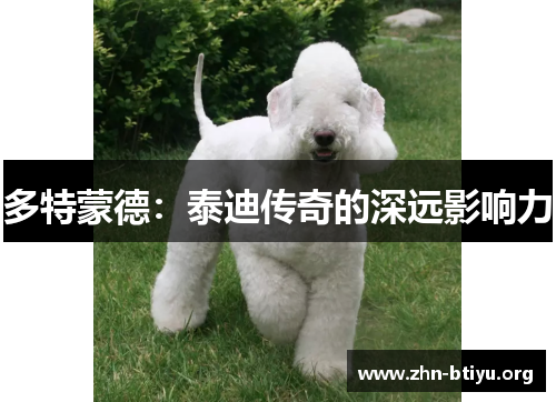 多特蒙德:泰迪传奇的深远影响力 多特蒙德:泰迪传奇的深远影响力