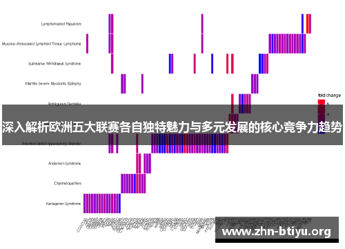 深入解析欧洲五大联赛各自独特魅力与多元发展的核心竞争力趋势